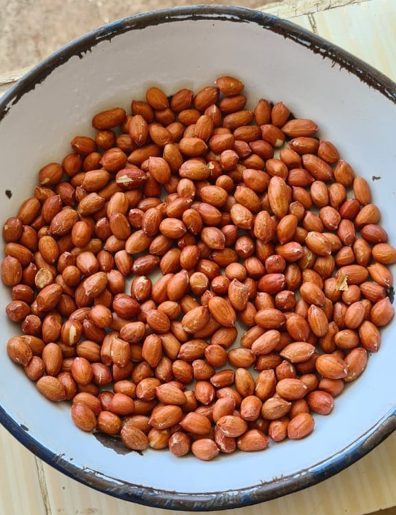 Groundnut Seeds - Genix Concept : Leading Exporter and Manufacturer